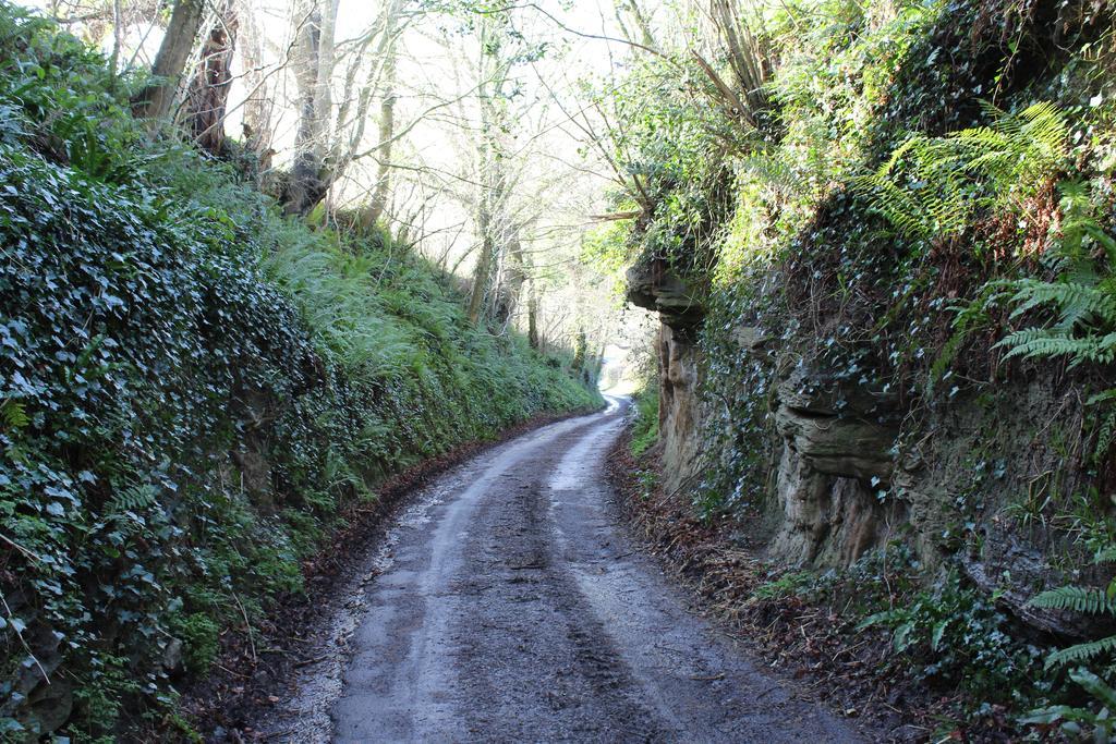 Cherrybrook Glastonbury Buitenkant foto